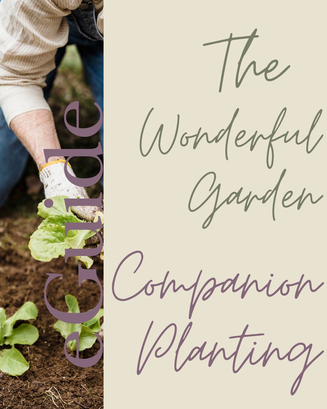 The Wonderful Garden Companion Planting eGuide
