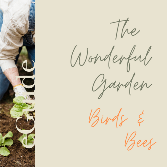 The Wonderful Garden The Birds & Bees